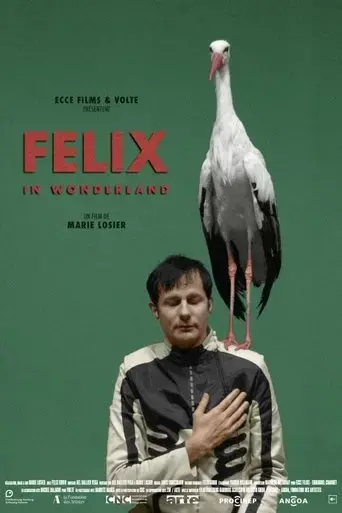felix-in-wonderland-2019