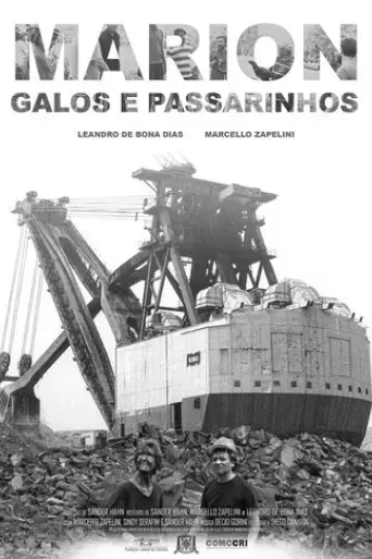 marion-galos-e-passarinhos-2021