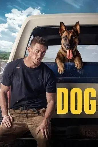dog-2022
