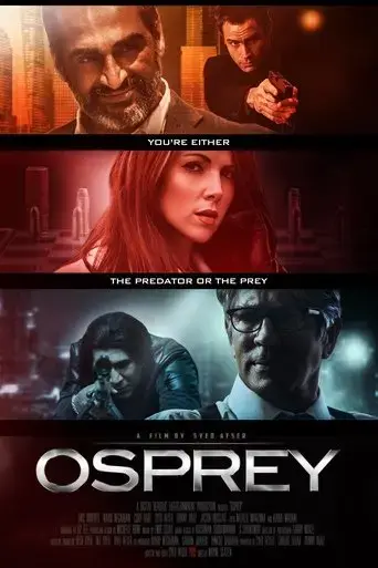 osprey-2017