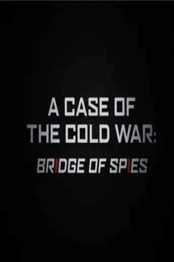 a-case-of-the-cold-war-bridge-of-spies-2016