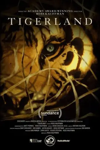 tigerland-2019