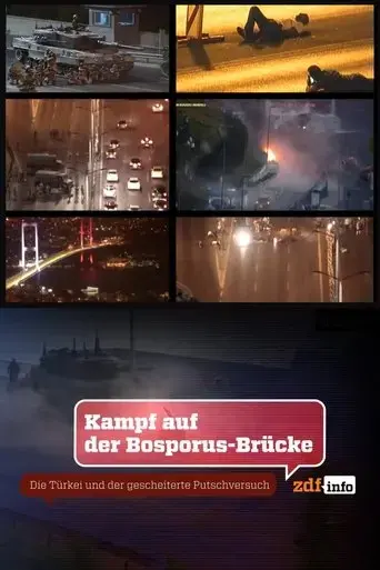 kampf-auf-der-bosporus-brucke-die-turkei-und-der-gescheiterte-putschversuch-2021