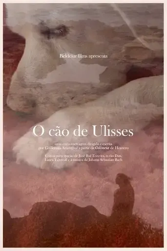 ulysses-dog-2024
