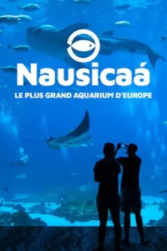 nausicaa-the-largest-aquarium-in-europe-2019