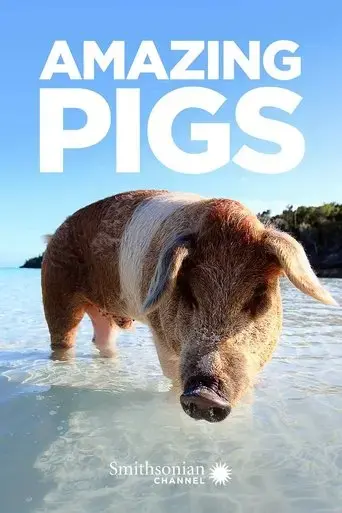 amazing-pigs-2018