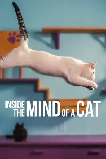 inside-the-mind-of-a-cat-2022