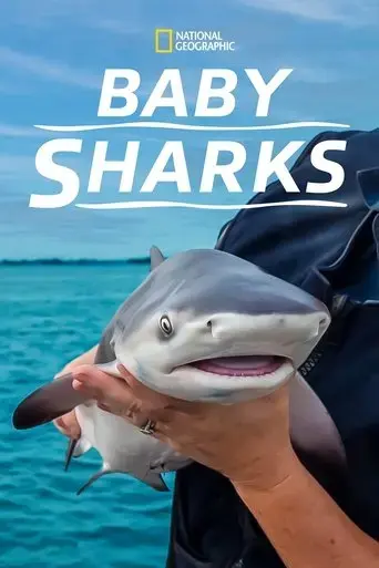 baby-sharks-2022