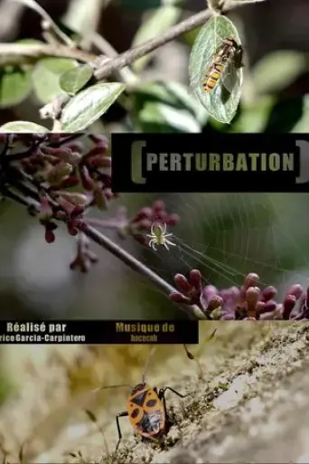 perturbation-2020