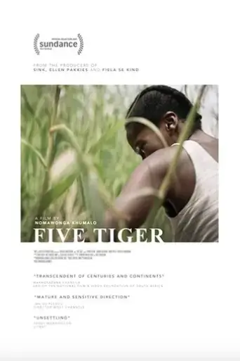 five-tiger-2020