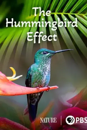 the-hummingbird-effect-2023
