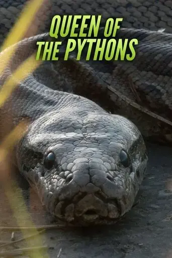 queen-of-the-pythons-2019