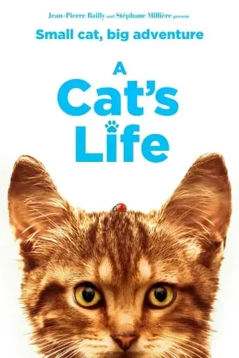 a-cat-s-life-2023