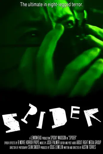 spider-2024