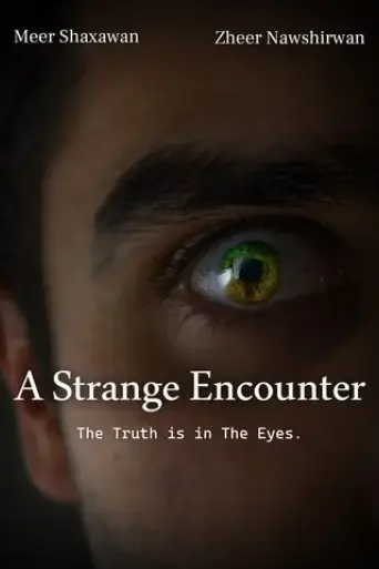 a-strange-encounter-2025