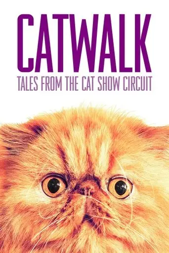 catwalk-tales-from-the-cat-show-circuit-2018
