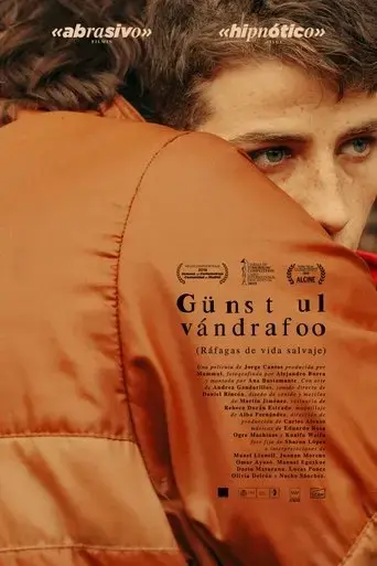 gusts-of-wild-life-2019