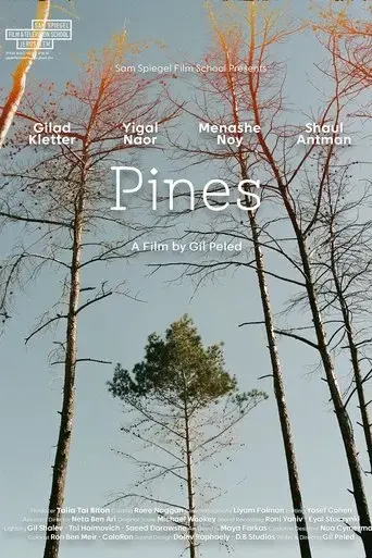 pines-2024