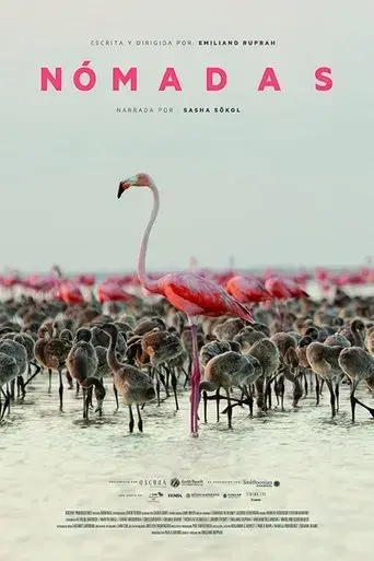 nomads-2020