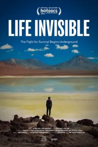 life-invisible-2025