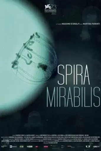 spira-mirabilis-2016