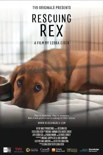 rescuing-rex-2020
