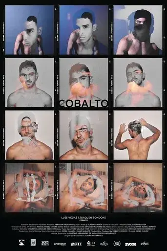 cobalto-2023