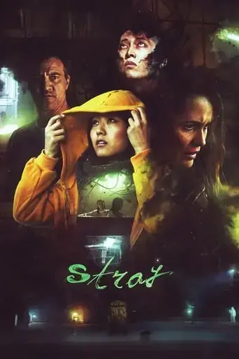 stray-2019