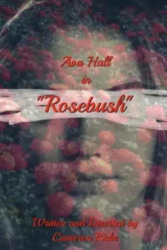 rosebush-2024