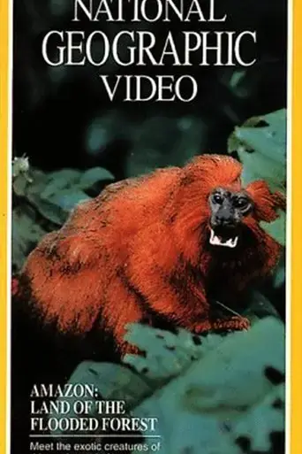 amazon-land-of-the-flooded-forest-1990