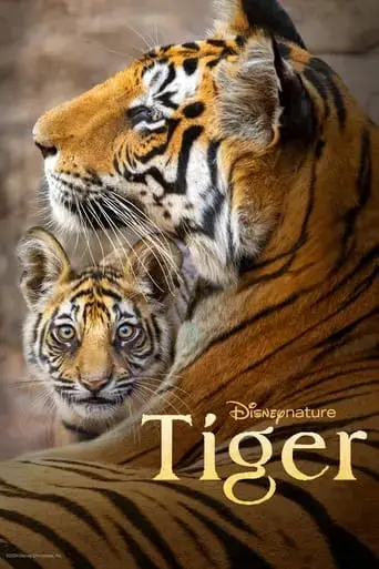 tiger-2024