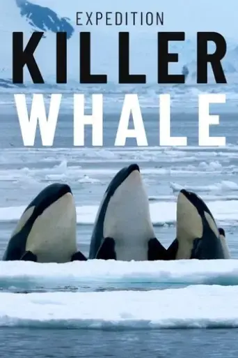 expedition-killer-whale-2024