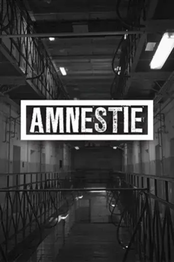 amnestie-2019
