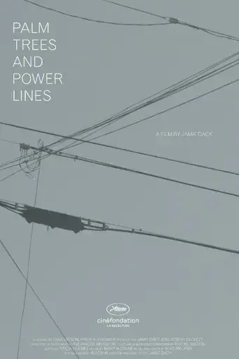 palm-trees-and-power-lines-2018