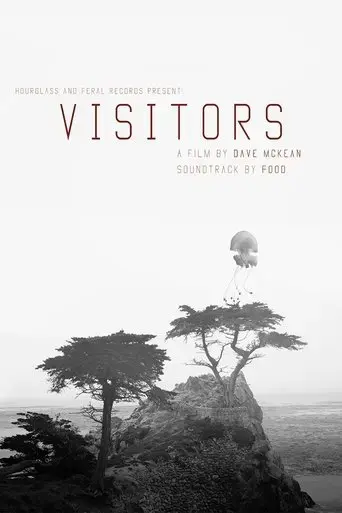visitors-2017