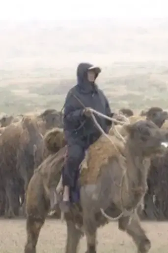 the-disappearing-camel-caravan-2017