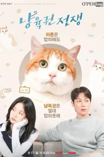 cat-custody-war-2025