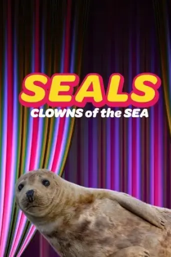 seals-clowns-of-the-sea-2021