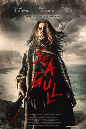 seagull-2019