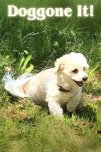 doggone-it-2020