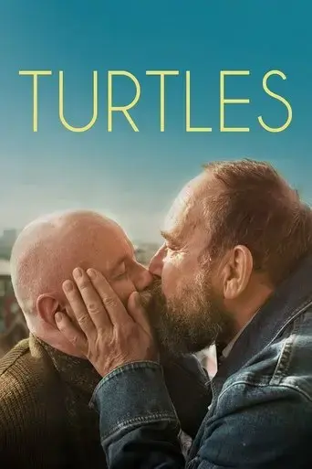 turtles-2024