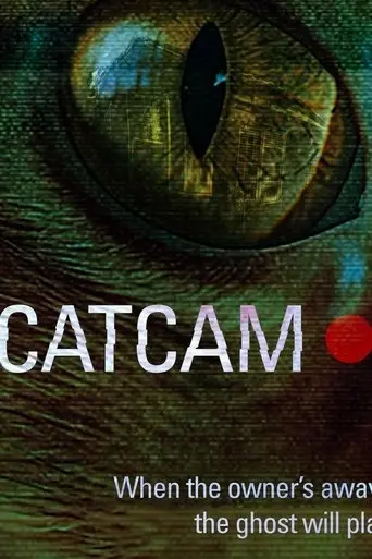 cat-cam-2025