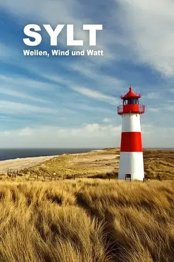 sylt-wellen-wind-und-watt-2023