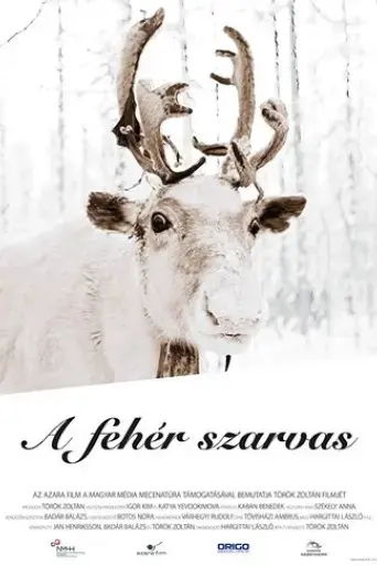 the-white-reindeer-2019