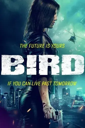 bird-2020