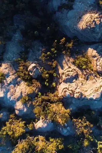 gardens-of-stone-2019