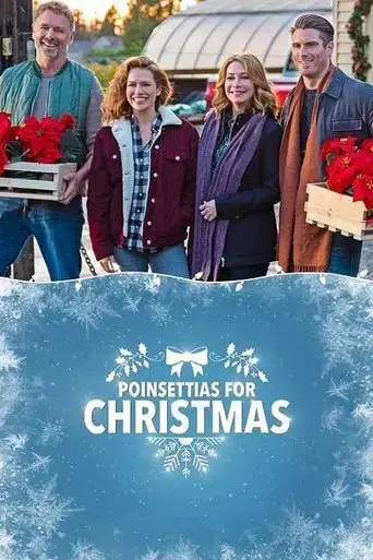 poinsettias-for-christmas-2018