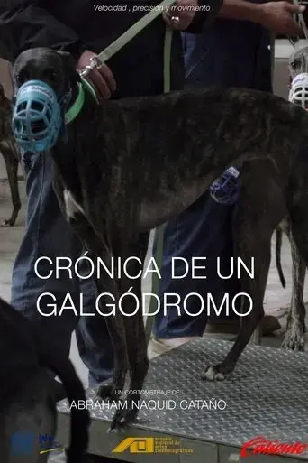 cronica-de-un-galgodromo-2020