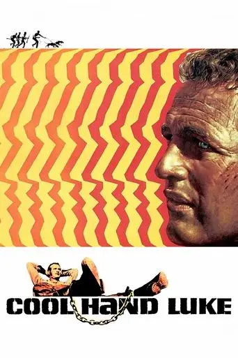 cool-hand-luke-1967
