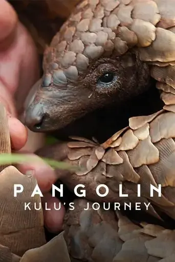 pangolin-kulu-s-journey-2025